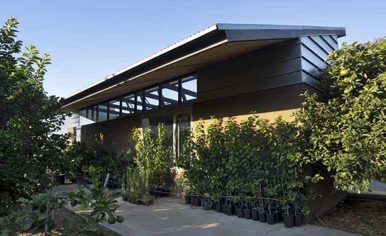 A Culinary Haven: BartolíLab at the Todolí Citrus Foundation