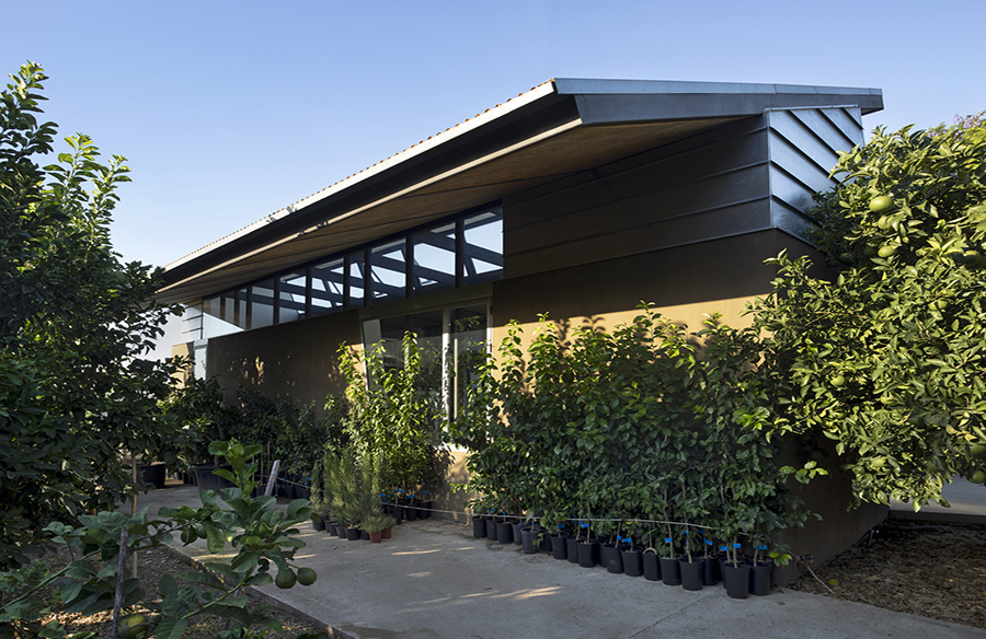 A Culinary Haven: BartolíLab at the Todolí Citrus Foundation