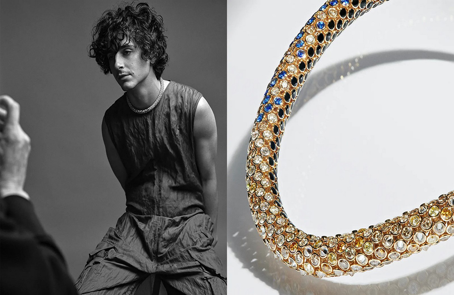 Timothée Chalamet’s Collaborative Creation with Cartier: A Dune-Inspired Necklace