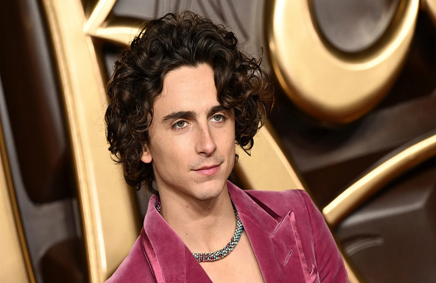 Timothée Chalamet’s Iconic No-Shirt Suit Style