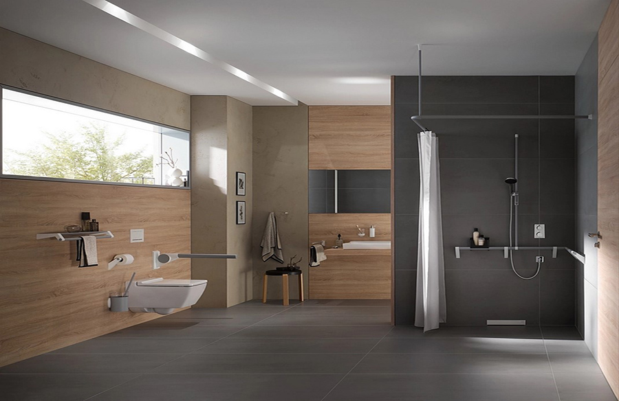 Bathroom Rails & Fittings: ErgoSystem® A100 by FSB Franz Schneider Brakel