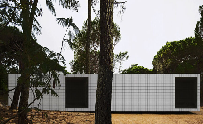 Check House by Altro_studio